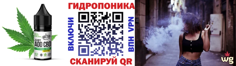 дарнет шоп  kraken маркетплейс  Canna-Cookies марихуана  Соль-Илецк 
