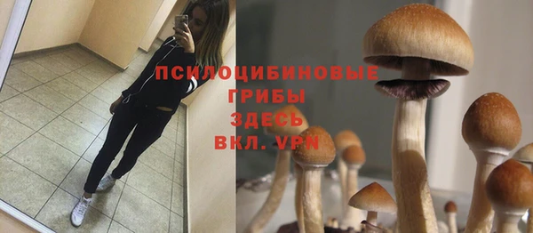 apvp Беломорск