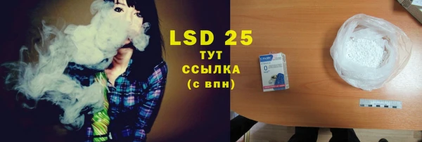 соль ск Белокуриха