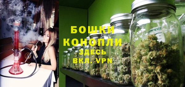 соль ск Белокуриха