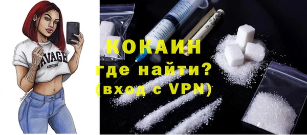 соль ск Белокуриха