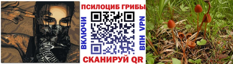 продажа наркотиков mega как войти Галлюциногенные грибы ЛСД Соль-Илецк